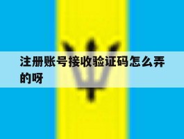 注册账号接收验证码怎么弄的呀