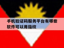 手机验证码服务平台有哪些软件可以用指纹