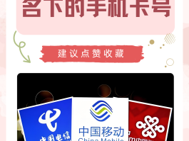 虚拟手机号可以查通话记录吗移动卡的简单介绍