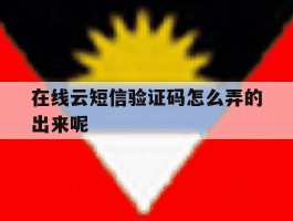 在线云短信验证码怎么弄的出来呢