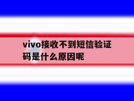vivo接收不到短信验证码是什么原因呢