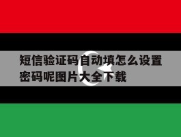 关于短信验证码自动填怎么设置密码呢图片大全下载的信息