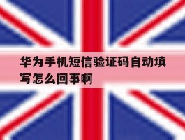 华为手机短信验证码自动填写怎么回事啊