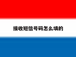 接收短信号码怎么填的