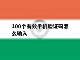 100个有效手机验证码怎么输入