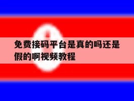 免费接码平台是真的吗还是假的啊视频教程