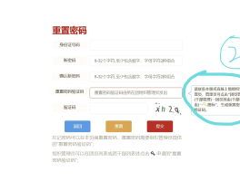 账号验证重置什么意思呀怎么弄回来呢