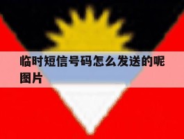 临时短信号码怎么发送的呢图片