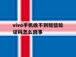 vivo手机收不到短信验证码怎么回事