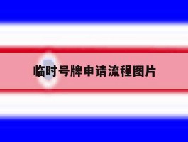临时号牌申请流程图片