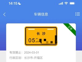 临时号牌能出市吗最新消息查询