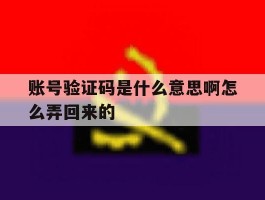账号验证码是什么意思啊怎么弄回来的