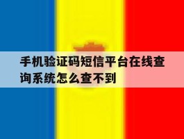 手机验证码短信平台在线查询系统怎么查不到