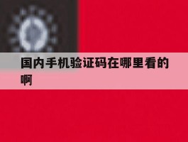 国内手机验证码在哪里看的啊