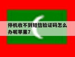 包含停机收不到短信验证码怎么办呢苹果7的词条