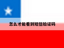 怎么才能看到短信验证码