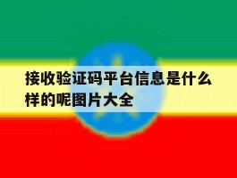 接收验证码平台信息是什么样的呢图片大全