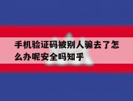手机验证码被别人骗去了怎么办呢安全吗知乎的简单介绍