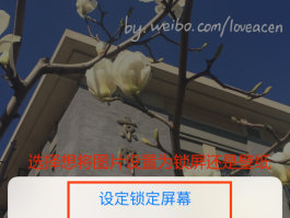 虚拟短信在线接收怎么设置密码呢