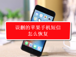 包含虚拟短信免费下载安装软件苹果版手机的词条