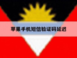 苹果手机短信验证码延迟
