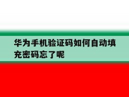 华为手机验证码如何自动填充密码忘了呢