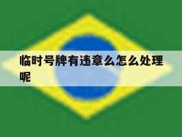 临时号牌有违章么怎么处理呢