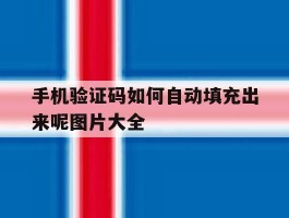 手机验证码如何自动填充出来呢图片大全