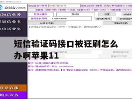 短信验证码接口被狂刷怎么办啊苹果11