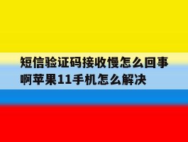 关于短信验证码接收慢怎么回事啊苹果11手机怎么解决的信息