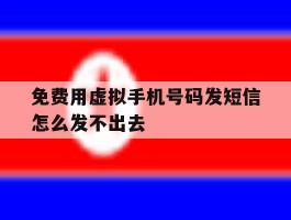 免费用虚拟手机号码发短信怎么发不出去