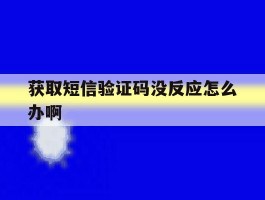 获取短信验证码没反应怎么办啊