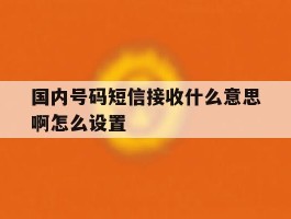 国内号码短信接收什么意思啊怎么设置