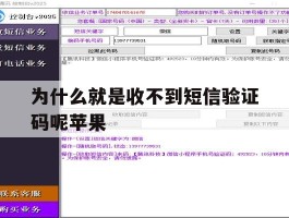 为什么就是收不到短信验证码呢苹果