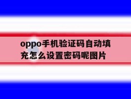 包含oppo手机验证码自动填充怎么设置密码呢图片的词条