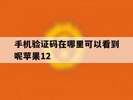 手机验证码在哪里可以看到呢苹果12