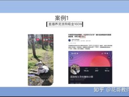 抖音接码赚钱吗现在还能做吗是真的吗知乎的简单介绍