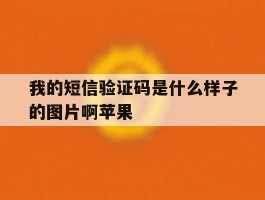 我的短信验证码是什么样子的图片啊苹果