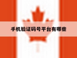 手机验证码号平台有哪些
