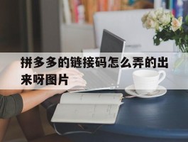 拼多多的链接码怎么弄的出来呀图片