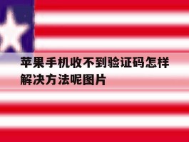 关于苹果手机收不到验证码怎样解决方法呢图片的信息