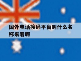 国外电话接码平台叫什么名称来着呢