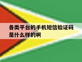 各类平台的手机短信验证码是什么样的啊的简单介绍