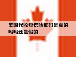美国代收短信验证码是真的吗吗还是假的